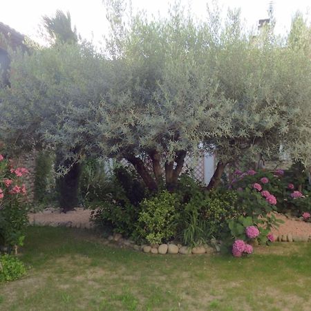 Gîte Mon Paradis Vallon-Pont-dʼArc Exterior foto